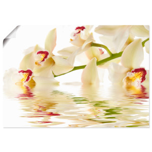 Artland Artprint Witte orchidee met waterreflectie als artprint op linnen, poster in verschillende formaten maten
