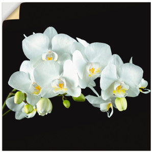 Artland Artprint Witte orchidee op een zwarte achtergrond als artprint op linnen, poster, muursticker in verschillende maten