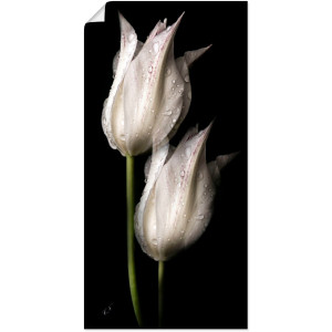 Artland Artprint Witte tulpen in de nacht als artprint van aluminium, artprint voor buiten, artprint op linnen, poster, muursticker