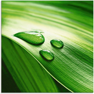 Artland Print op glas Close-up van een groen plantenblad