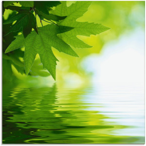 Artland Print op glas Groene blaadjes reflecteren in het water