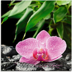 Artland Print op glas Roze orchidee op zwarte zen stenen