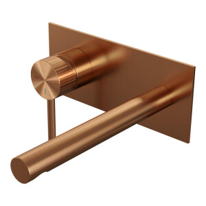 BRAUER Stripe Inbouw Wastafelmengkraan - rechte uitloop en afdekplaat - model A2 - koper geborsteld PVD 5-GK-334