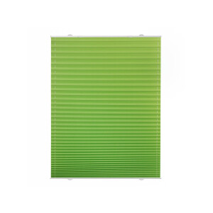 Lichtblick plisségordijn (Groen, 60 x 130 cm)
