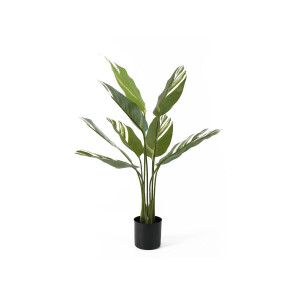 Kunstplant Calathea | Present Time