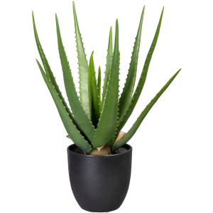 Creativ green Kunst-potplanten Aloe (1 stuk)