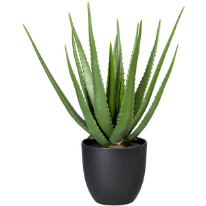 Creativ green Kunst-potplanten Aloe (1 stuk)