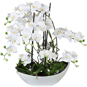 Creativ green Kunstorchidee Vlinderorchidee, 68 cm wit (1 stuk)