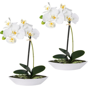 Creativ green Kunstorchidee Vlinderorchidee set van 2, in een plastic bakje (2 stuks)