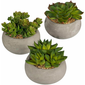 Creativ green Kunstplant Vetplanten (set, 3 stuks)