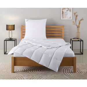 Home affaire Donzen dekbed + hoofdkussen TAMINS, dekbed 135x200 cm en 155x220 cm, 2-delig. Set met kussen 40 x 80 cm, 80 x 80 cm, zomer, winter, Made in Germany (voordeelset)