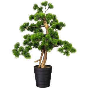 Creativ green Kunstbonsai Bonsai grenen (1 stuk)