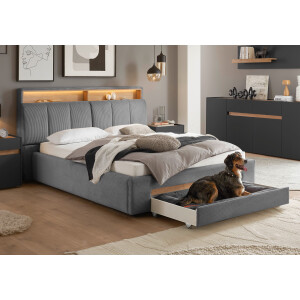 INOSIGN Gestoffeerd bed CiTY/GiRON,, gepolsterd opbergbed, met LED-verlichting Bedkisten met hondenbed of als opbergruimte, opklapbare hoofdeinden