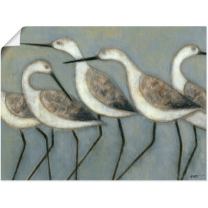 Artland Artprint Kustvogels I als artprint van aluminium, artprint voor buiten, artprint op linnen, poster in verschillende maten. maten