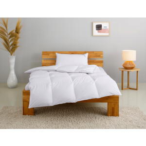 Home affaire Donzen dekbed + hoofdkussen TAMINS, dekbed 135x200 cm en 155x220 cm, 2-delig. Set met kussen 40 x 80 cm, 80 x 80 cm, zomer, winter, Made in Germany (voordeelset)