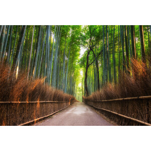 Papermoon Fotobehang Bamboe Grove of Kyoto
