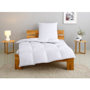Home affaire Donzen dekbed + hoofdkussen TAMINS, dekbed 135x200 cm en 155x220 cm, 2-delig. Set met kussen 40 x 80 cm, 80 x 80 cm, zomer, winter, Made in Germany (voordeelset)