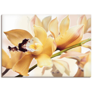 Artland Artprint Gele orchidee als artprint van aluminium, artprint voor buiten, artprint op linnen, poster in verschillende maten. maten