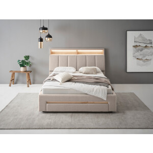 INOSIGN Gestoffeerd bed CiTY/GiRON,, gepolsterd opbergbed, met LED-verlichting Bedkisten met hondenbed of als opbergruimte, opklapbare hoofdeinden
