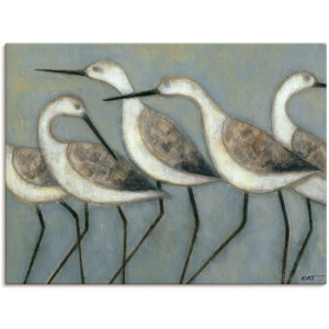Artland Artprint Kustvogels I als artprint van aluminium, artprint voor buiten, artprint op linnen, poster in verschillende maten. maten