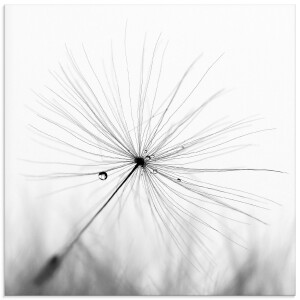 Papermoon Fotobehang White Doves