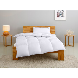 Home affaire Donzen dekbed + hoofdkussen TAMINS, dekbed 135x200 cm en 155x220 cm, 2-delig. Set met kussen 40 x 80 cm, 80 x 80 cm, zomer, winter, Made in Germany (voordeelset)