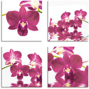 Artland Artprint op linnen Vlinderorchidee set van 4, verschillende maten (4-delig)