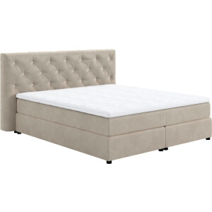 COTTA Boxspring Castlerock met strass-steentjes in het hoofdeinde, incl. topper