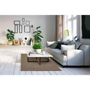 my home Wollen kleed Kappelen Effen kleuren, kortpolig, 100% wol