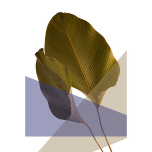 queence Artprint op acrylglas Bladeren Fine Art-print in galeriekwaliteit