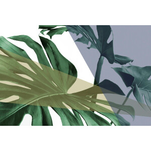 queence Artprint op acrylglas Bladeren Fine Art-print in galeriekwaliteit