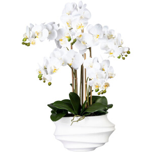 Creativ green Kunstorchidee Vlinderorchidee in design plastic vaas (1 stuk)