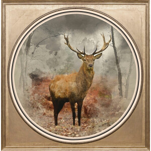 queence Artprint op acrylglas Edelhert Fine Art-print in galeriekwaliteit