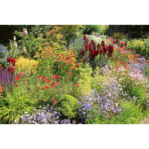 carpetfine Wollen kleed Gabbeh Lola Uni met natuurlijk plantaardig materiaal handgeweven, ook in rond