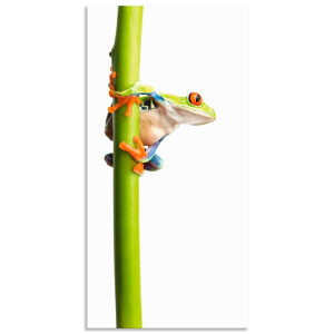 Artland Artprint Kikkerpakt een plantenstengel vast als artprint van aluminium, artprint voor buiten, artprint op linnen in verschillende maten