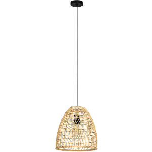 EGLO Hanglamp AYESGARTH Hanglamp in zwart van staal - excl. E27 - 1X40W (1 stuk)