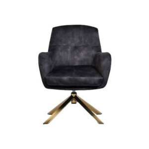 Fauteuil Cleveland velvet | HSM Collection