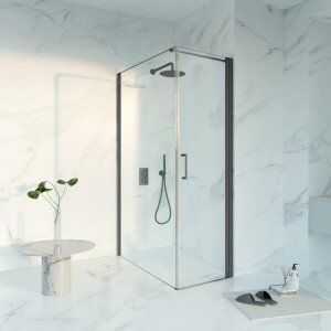 Fortifura Galeria Douchecabine - 60x120x200 - Profiel veiligheidsglas - anti kalk - geborsteld gunmetal PVD SW1122471/SW797917/SW797907