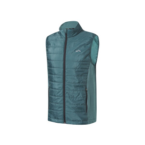 CRIVIT Heren bodywarmer (Groen, XL)