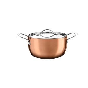 SILVERCREST RVS kookpan met koperlaag, Ø20 cm
