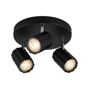 LIVARNO home Plafondlamp (Plafondlamp, mat zwart)