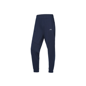 CRIVIT Heren thermobroek (Marineblauw, L)