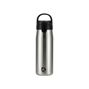SILVERCREST RVS drinkfles, 1 L (Grijs)