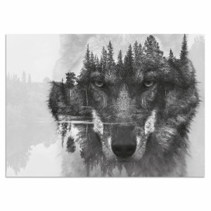 Home affaire Artprint op acrylglas Wolf Fine Art-print in galeriekwaliteit