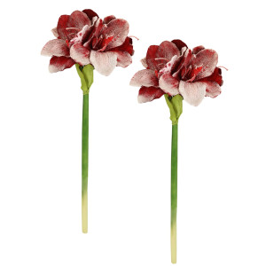 I.GE.A. Kunstbloem Amaryllis met kunstsneeuw set van 2 takken winterbloem decoratieve tak kerstdecoratie winterdecoratie (2 stuks)