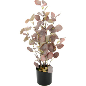 I.GE.A. Kunstplant Eucalyptus In een pot, met natuursteentjes