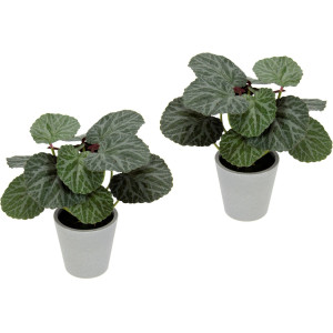 I.GE.A. Kunstplant Kunstmatige plant begonia in pot begonia struik bladplant (2 stuks)