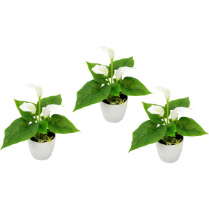 I.GE.A. Kunstplant Mini calla (set, 3 stuks)