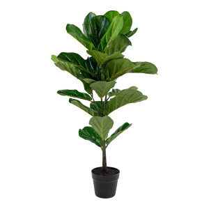 Kunstplant Ficus | House Nordic