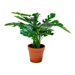 Kunstplant Monstera | House Nordic